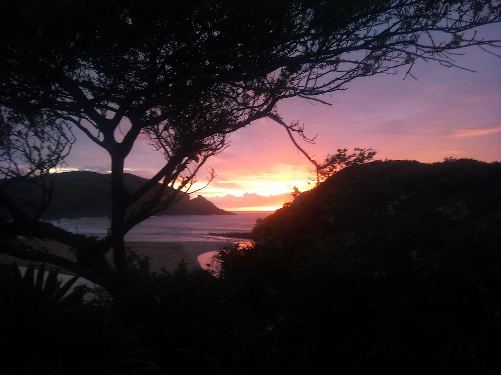 The Lodge On The Beach Port Saint Johnʼs Quarto foto
